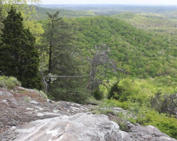 boxcreekwilderness-1