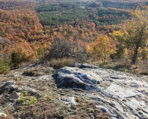 boxcreekwilderness-2