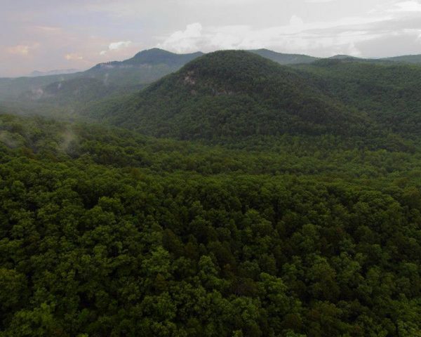 boxcreekwilderness-3