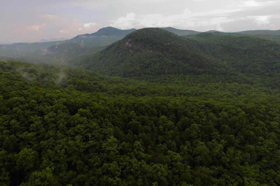 Epic Games – son fondateur donne pour la protection de la nature