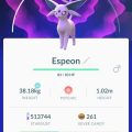 3196311-espeon