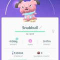 3196319-snubbull