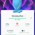 3196322-wobbuffet
